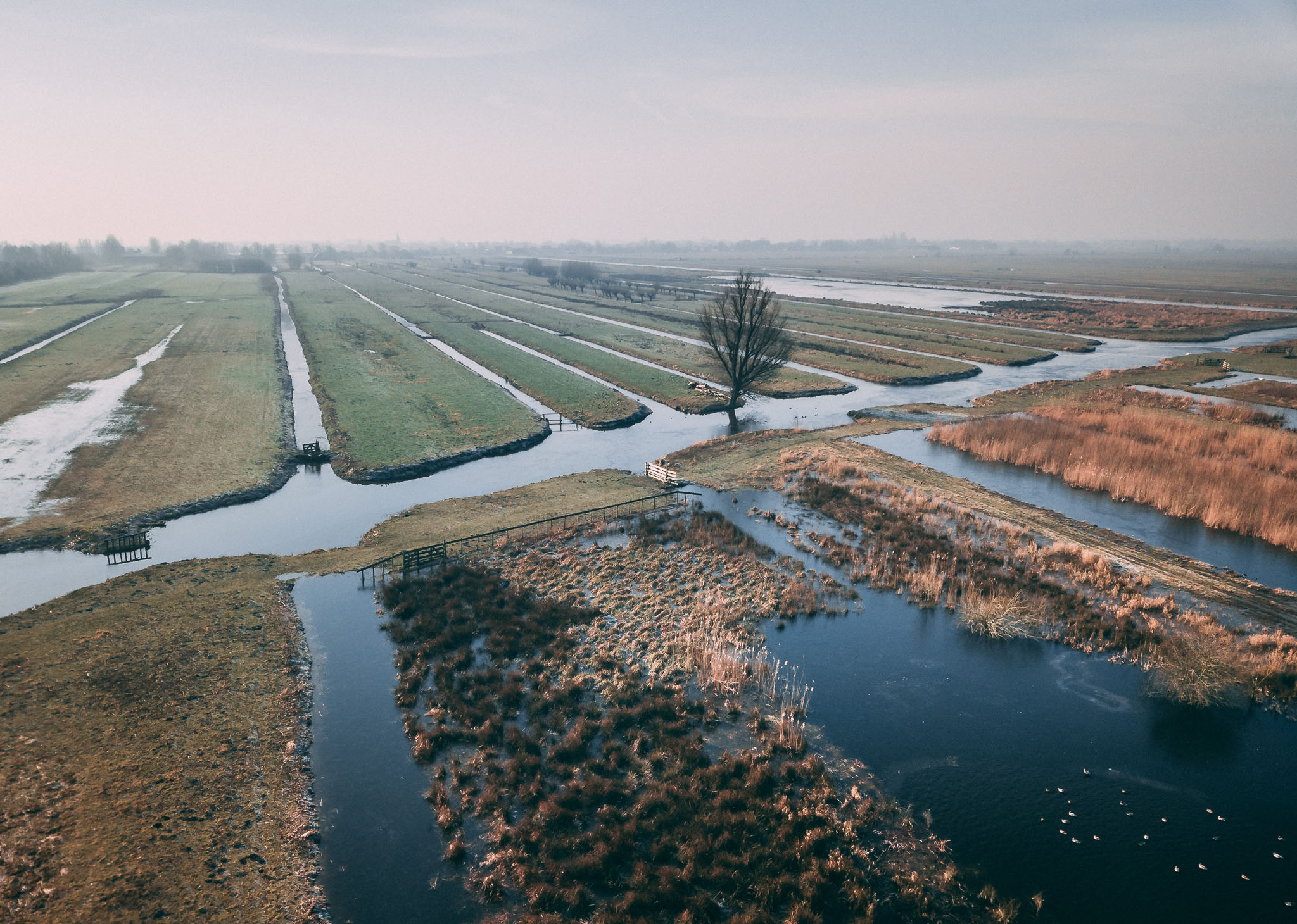 PvdA-GroenLinks Krimpenerwaard